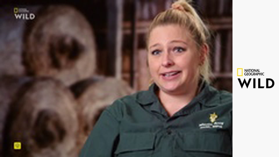 Увлекательная зоология: лучшее S1E7 - Носороги и совы