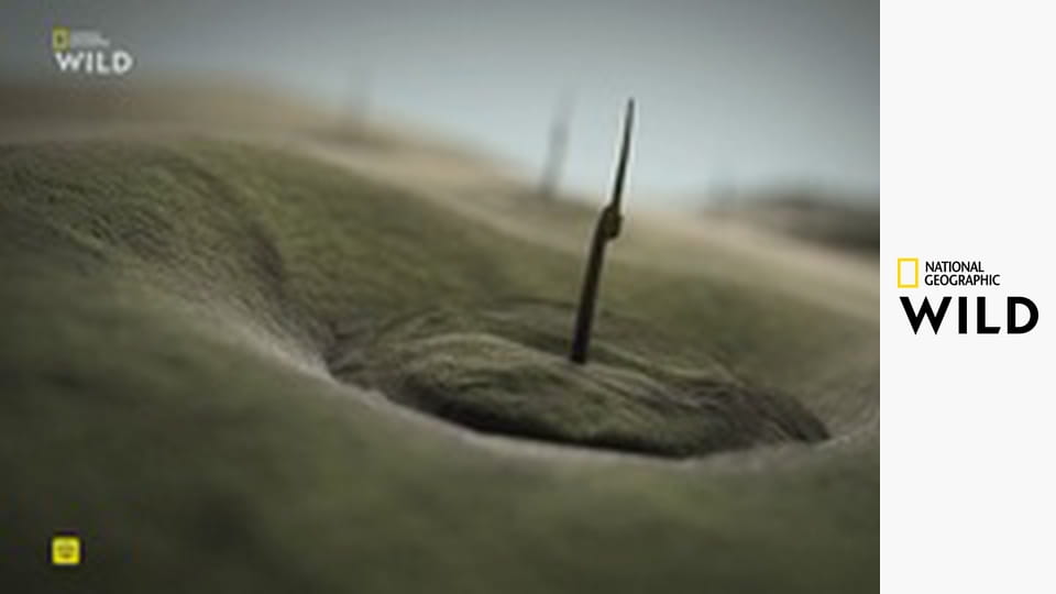 Кто-то меня укусил S1E7