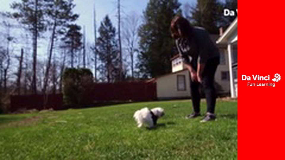 Изобретения - Всемирное зернохранилище