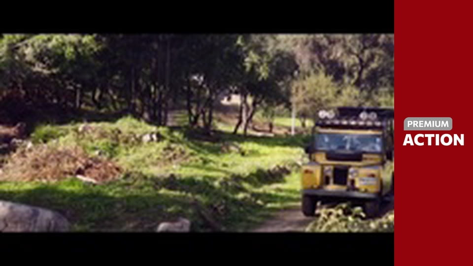 GUN SHY  (Premium Action CZ)