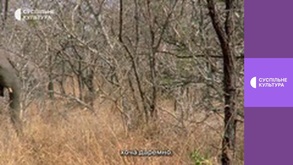 Д/с "Суперздібності тварин". "Дотик".