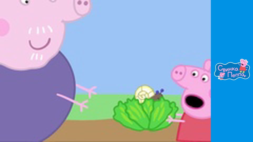 Крошки-букашки