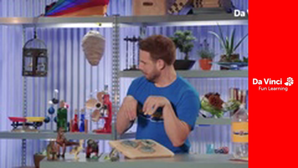 Взрывная наука - Окаменевшие находки