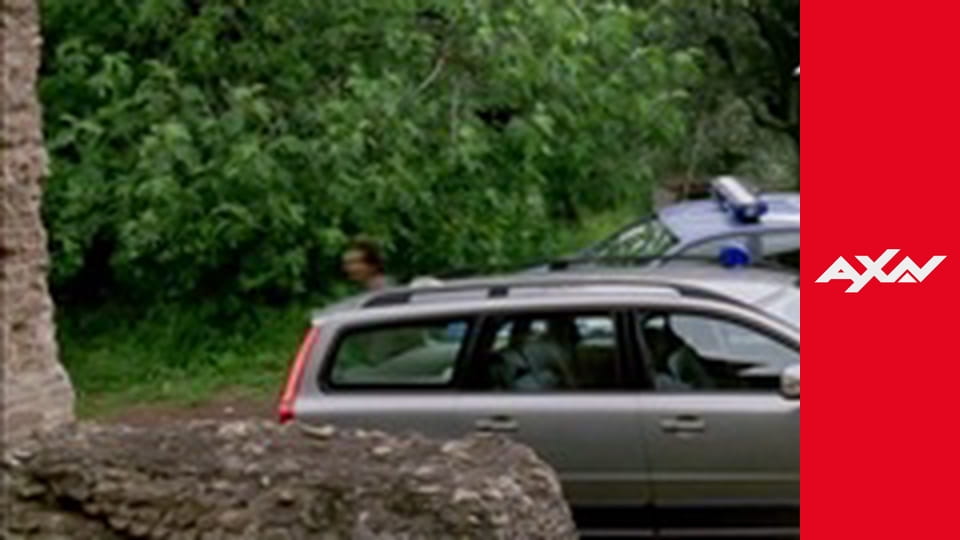 Rex: A Cop's Best Friend X. S10E6 - Kommissar Rex 10006 - MASQUERADE