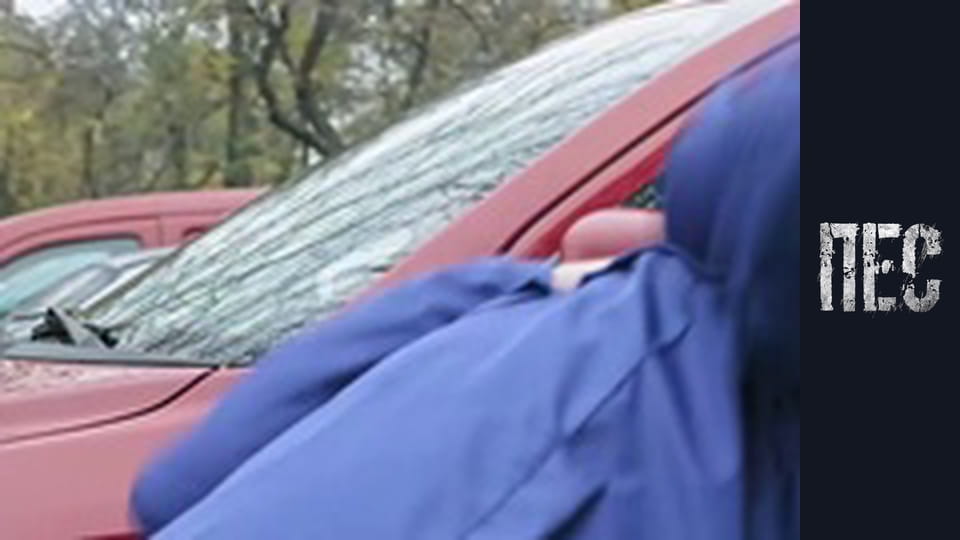 Пёс, Сезон 6, Серия 20