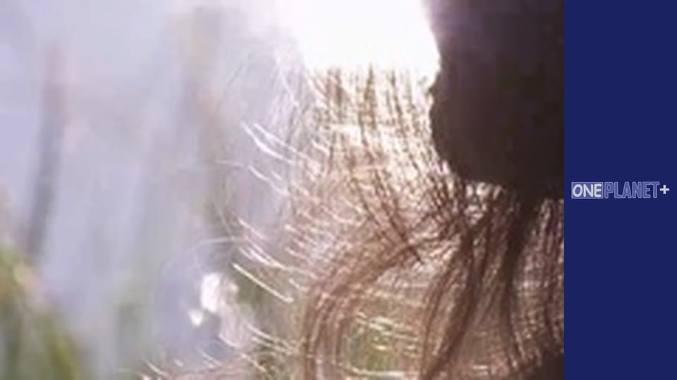 Таемниці Мозку - cерия 6