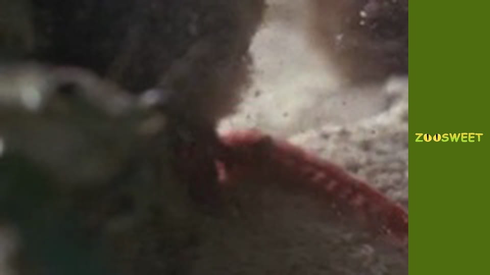 Особливий загін - серія 4