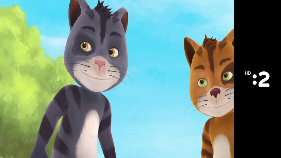 Rodinka líšok a jazvecov E47 - Tímová práca