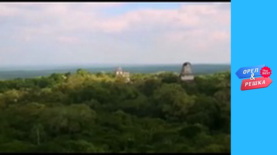 Золотая карта, Выпуск 2