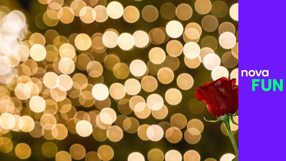 Bachelor Česko S2E10