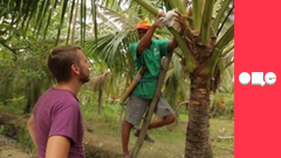 Особливості національної роботи, 1 сезон, 10 еп.