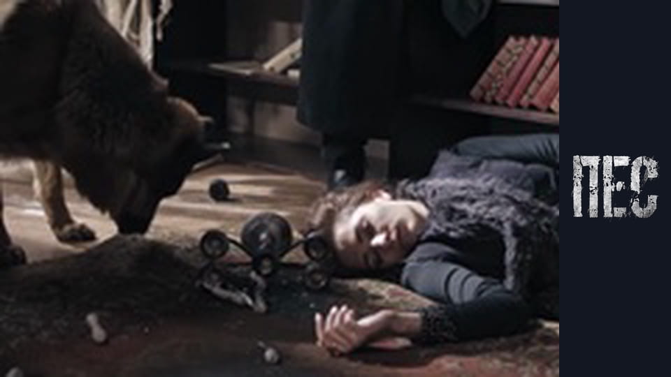 Dog, Season 6, Episode 39