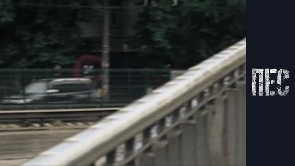 Пёс, Сезон 4, Серия 10