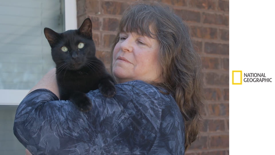 Lotnisko: biuro rzeczy znalezionych S1E10 - Kot na pasie startowym i zaginiona sukienka