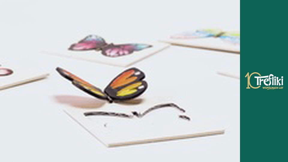 Bobaski i Miś Season 1 Episode 16