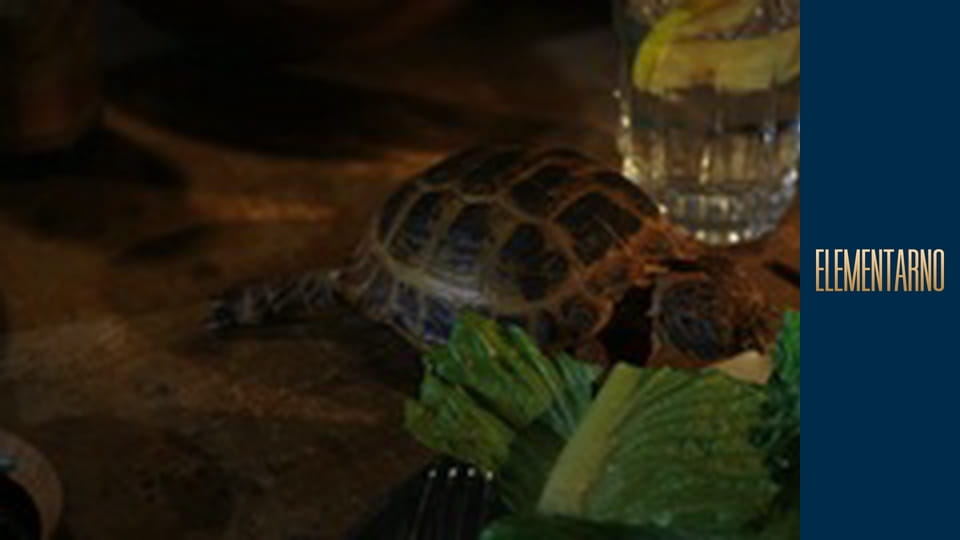 Элементарно Сезон 5 Эпизод 7