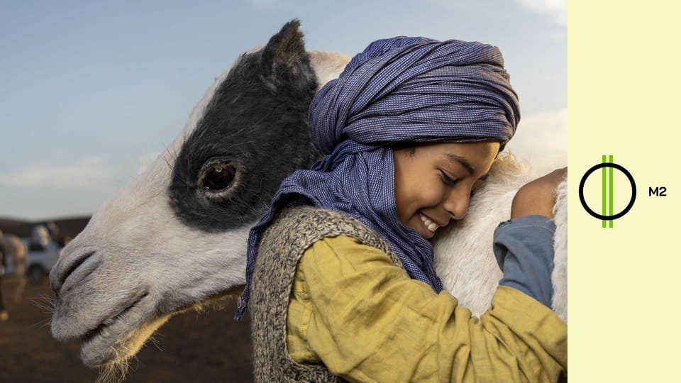 Tehu - Egy kis teve nagy kalandja
