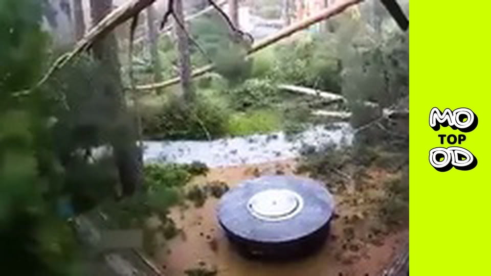 TopMood Сезон 4 Епізод 25