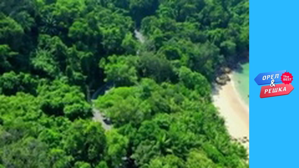 Золота карта, Випуск 33