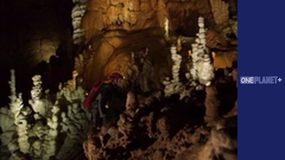 В поисках знаний. - cерия 17