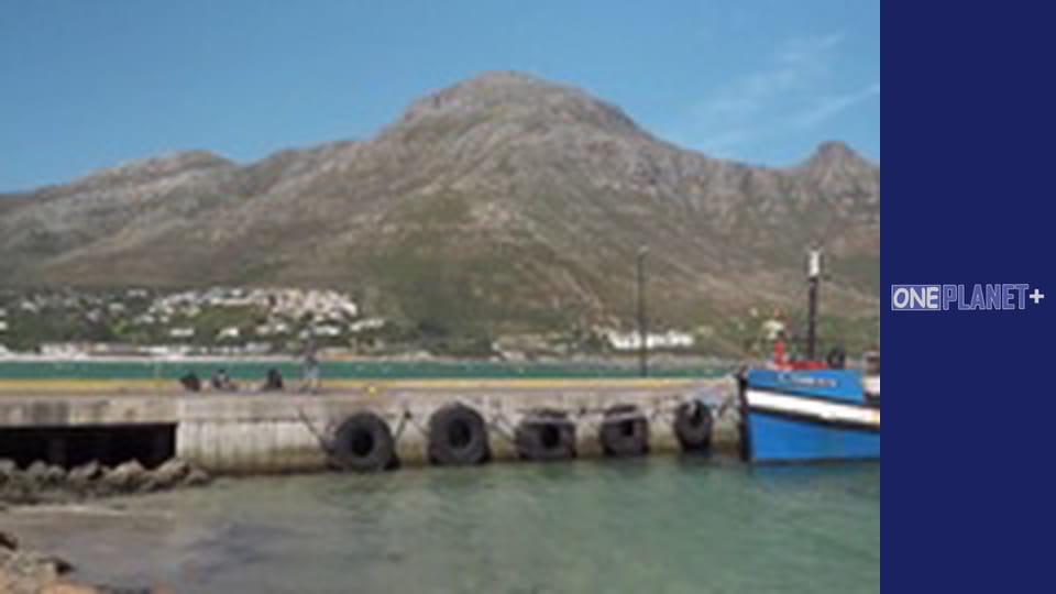 It is worth visiting. - episode 20