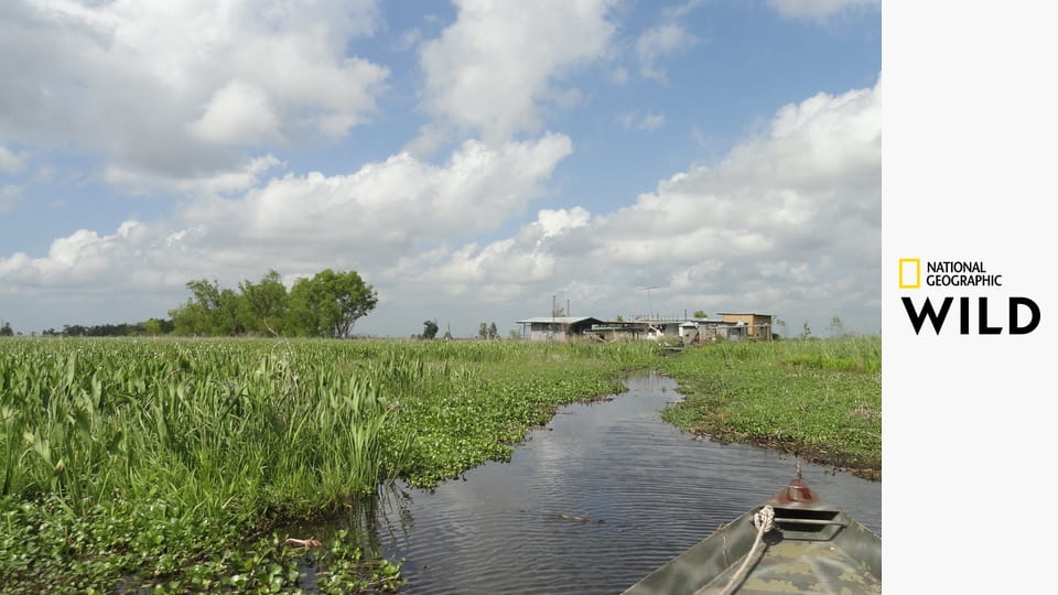 Divoká Mississippi S1E1 - Velký mráz