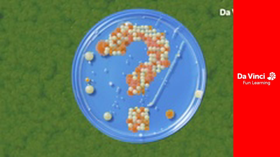 Всезнайко - Чим так корисна цвіль?