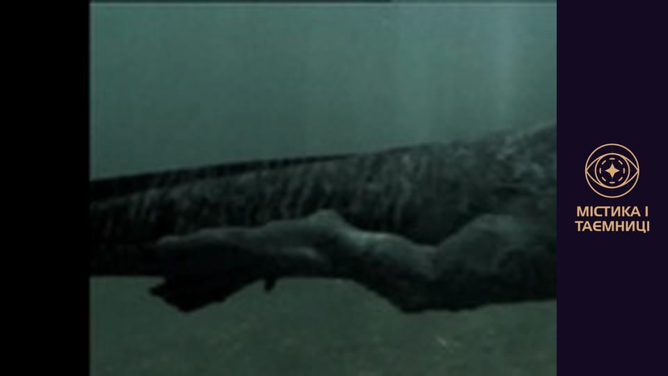 Hidden reality. Monsters: myth or reality?