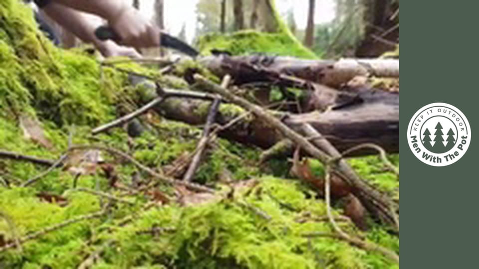 Lemon Crunchy Chicken