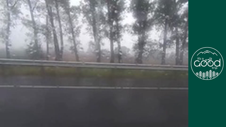 Trips - Випуск 75