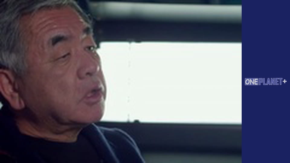 Обновленные Города - cерия 2