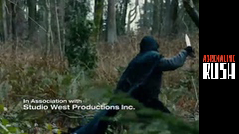 In the Name of the King 2: Two Worlds