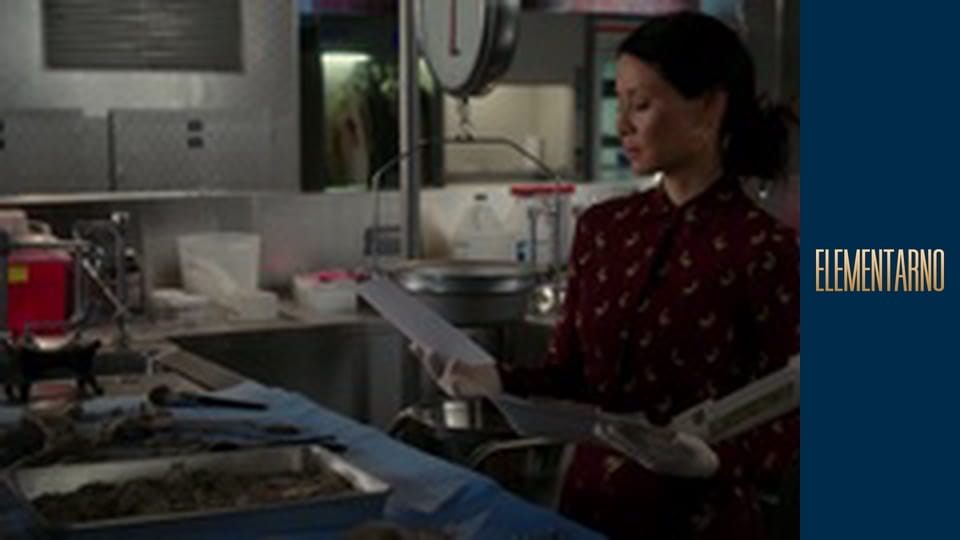 Елементарно Сезон 5 Епізод 19