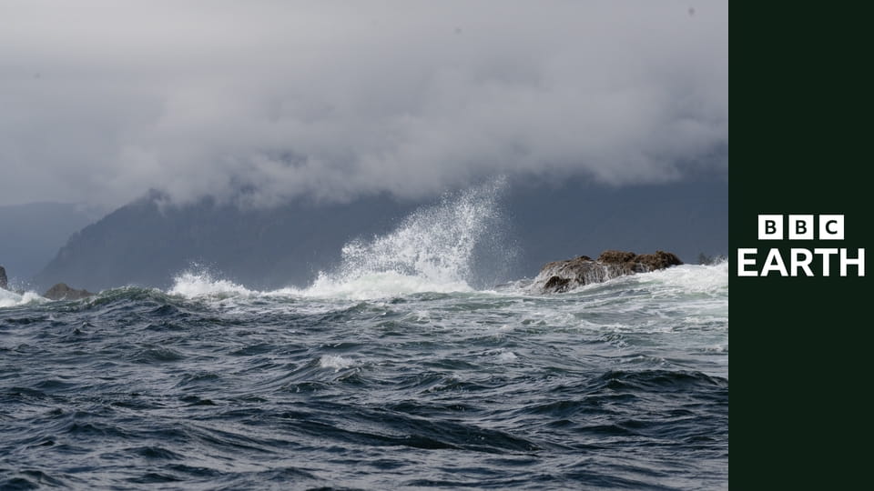 Wyspy. Laboratoria natury S1E3