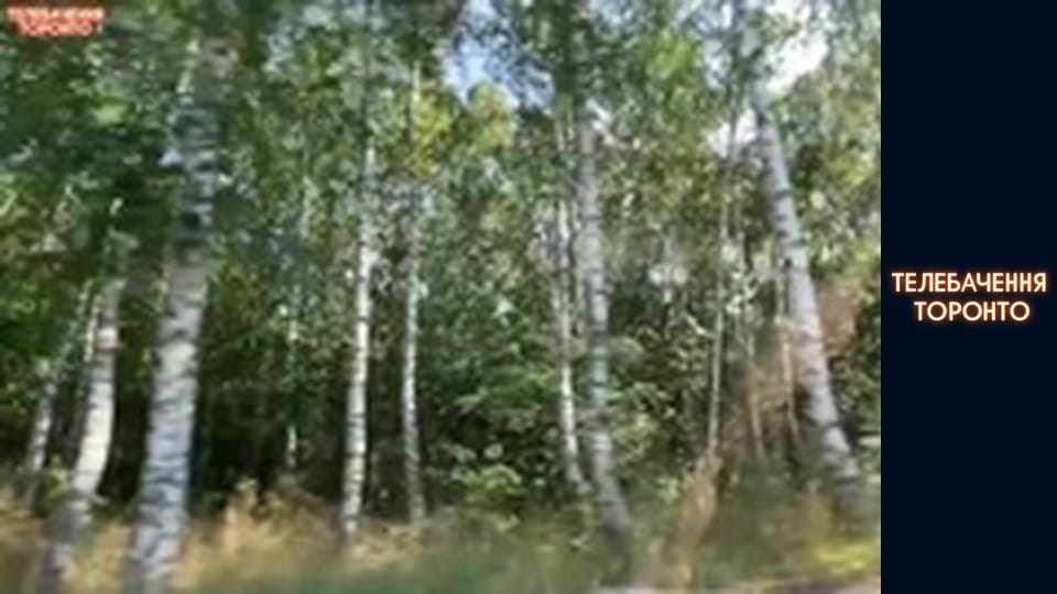 Russian-Ukrainian war - episode 80