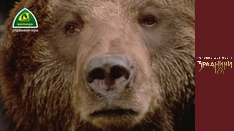 Зрадники Серія 4