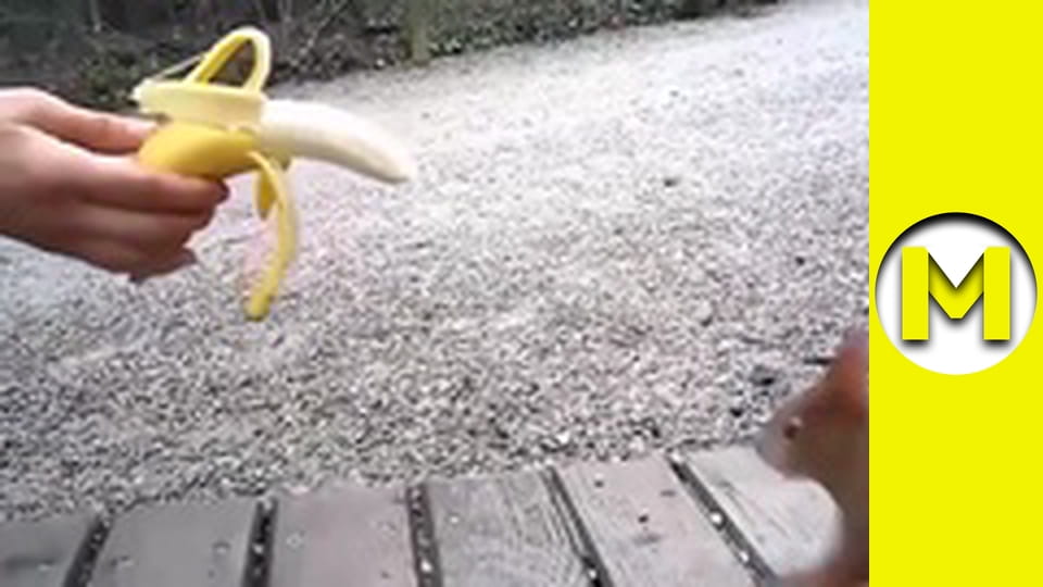 Max TV - сезон 1 - серія 68