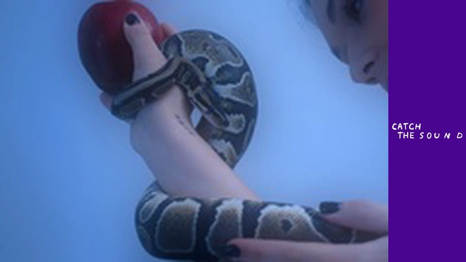 Marie Hellstein - Сигналізація