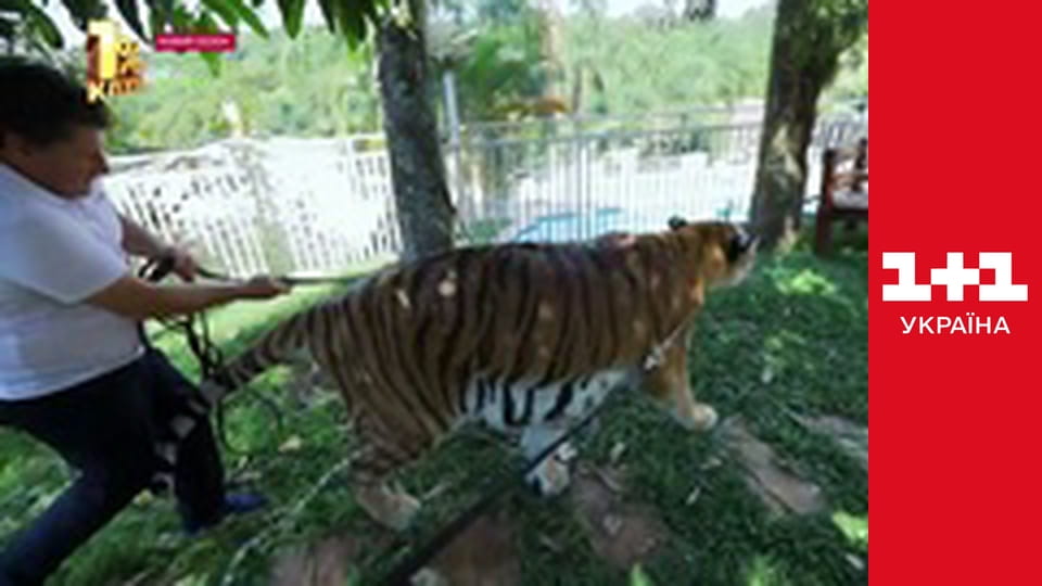 Світ навиворіт