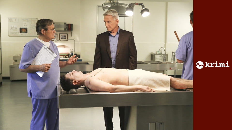 NCIS - Námorný vyšetrovací úrad S10E21 - Berlín