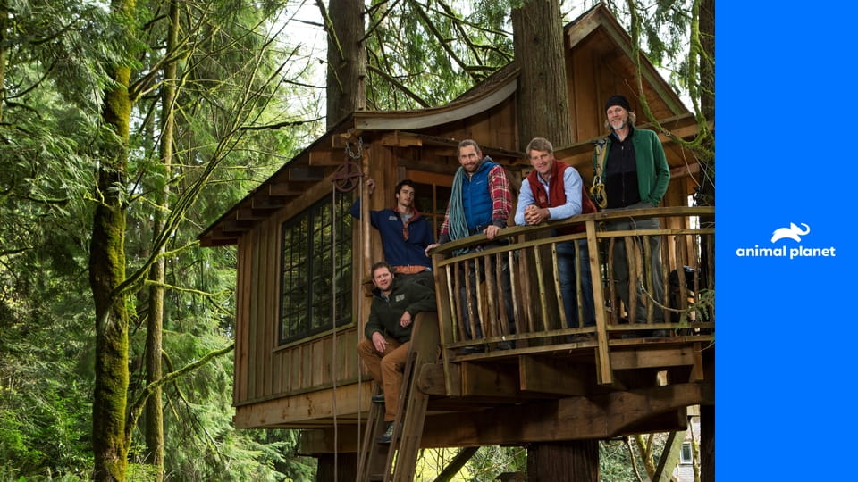 Odborníci na domy v korunách stromov S3E2 - Sladkosti v korunách stromov