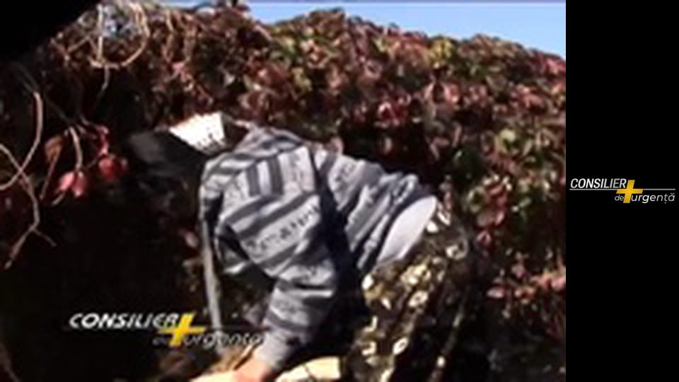 Consilier de urgență - Episodul 23