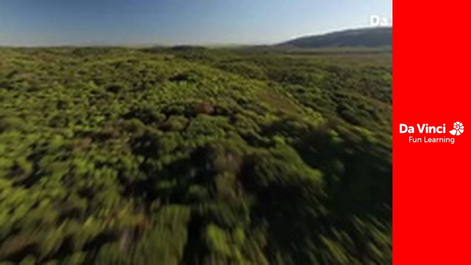 Siyaya - Wildest Cape - De Hoop - Place Of Hope