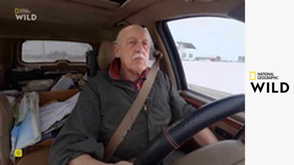 Кто-то меня укусил S1E7