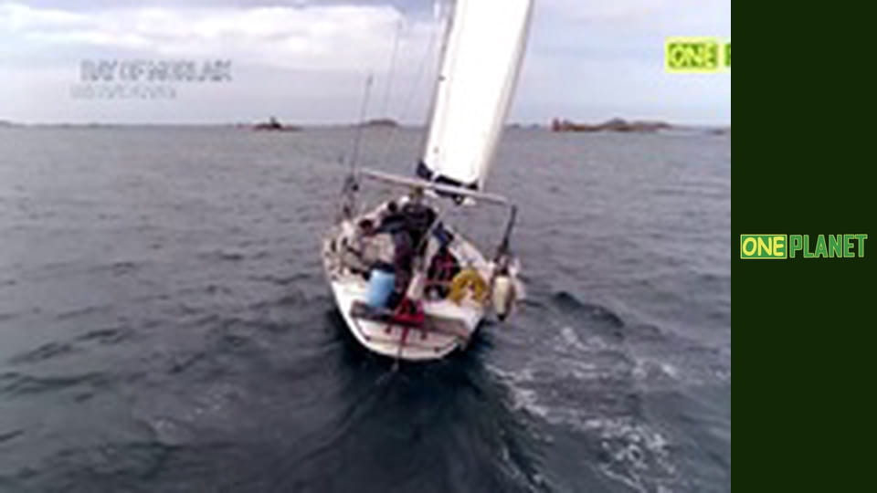 Земля: Симфония жизни, 1 эп.