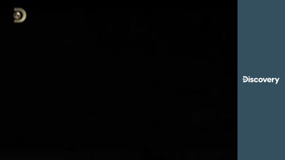 Выживание без купюр S2E5