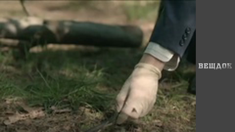 Последний попутчик