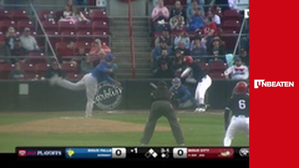 American Association of Professional Baseball