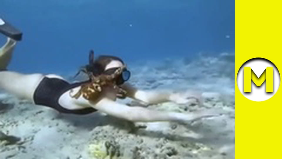 Max TV - сезон 1 - серія 151