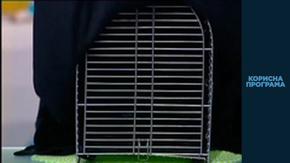 Корисна програма, Сезон 1, Випуск 46